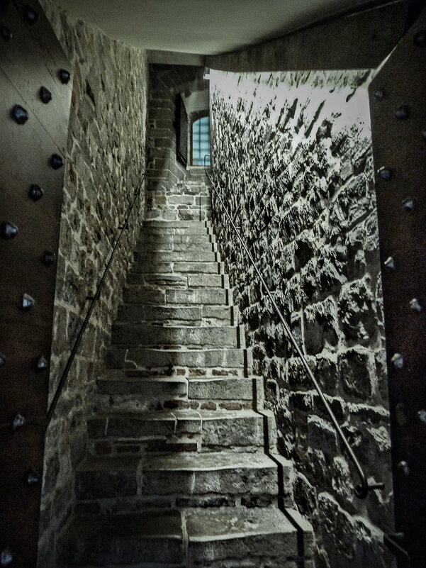 Вперед и вверх... - Наталья Rosenwasser