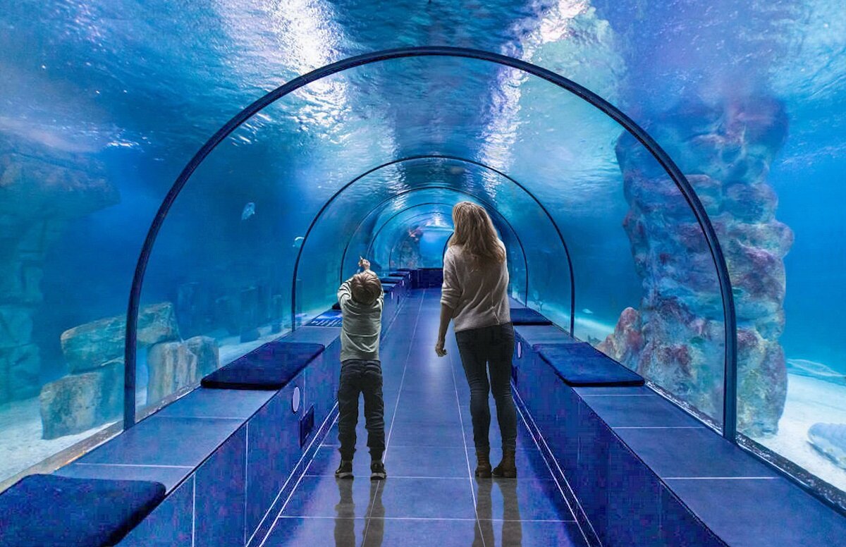 Подводный мир -2 - irina Schwarzer 