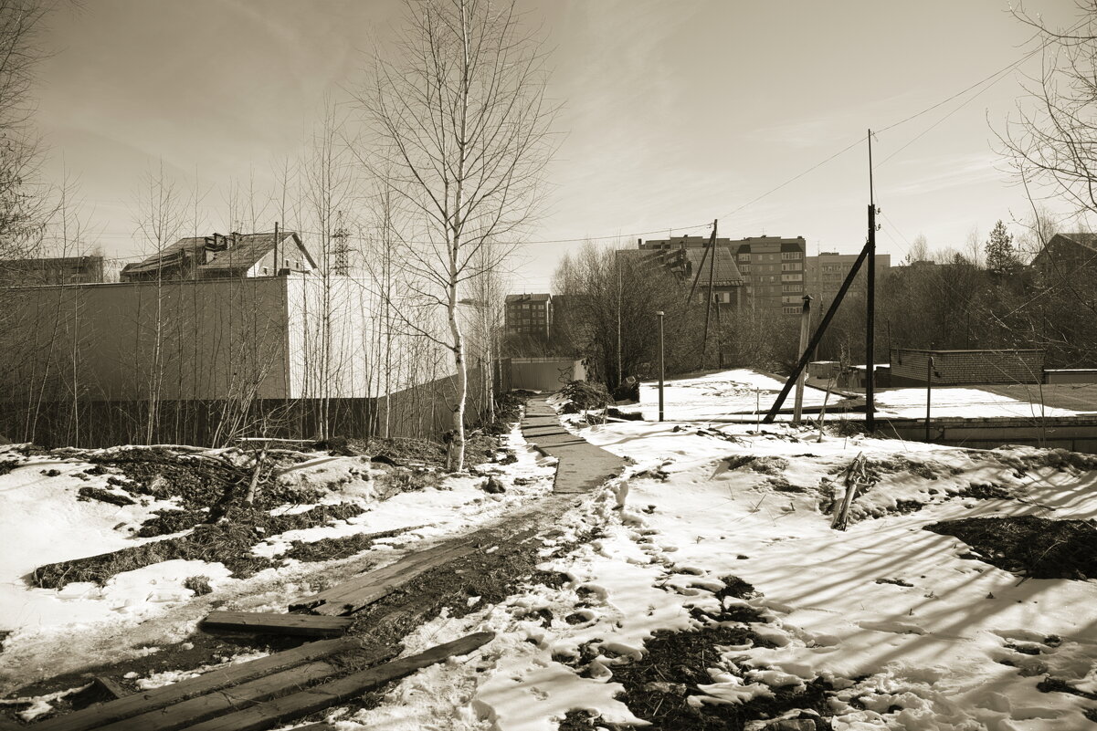 Фотография - Денис Безногов