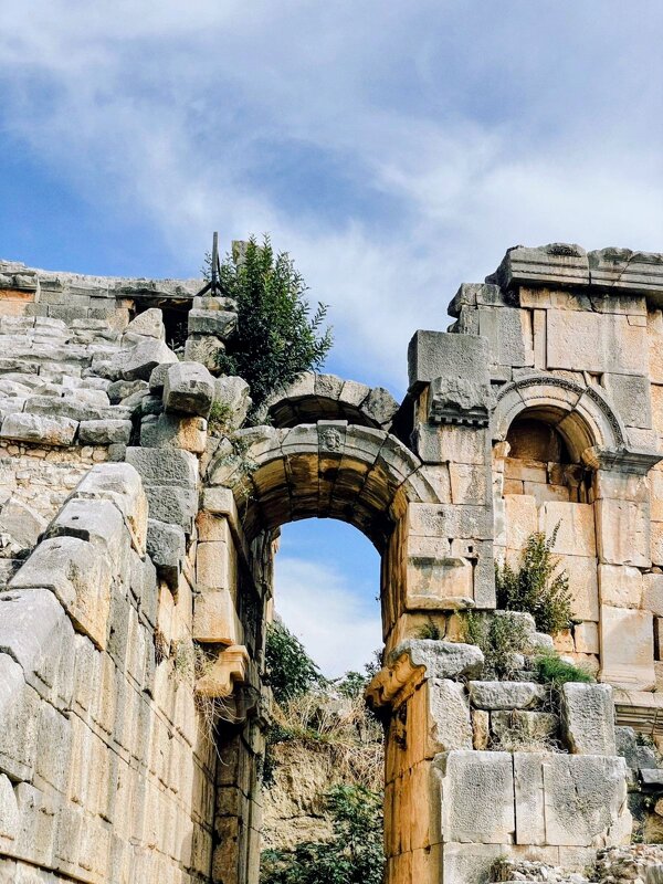 Останки древнего города - Георгиевич 