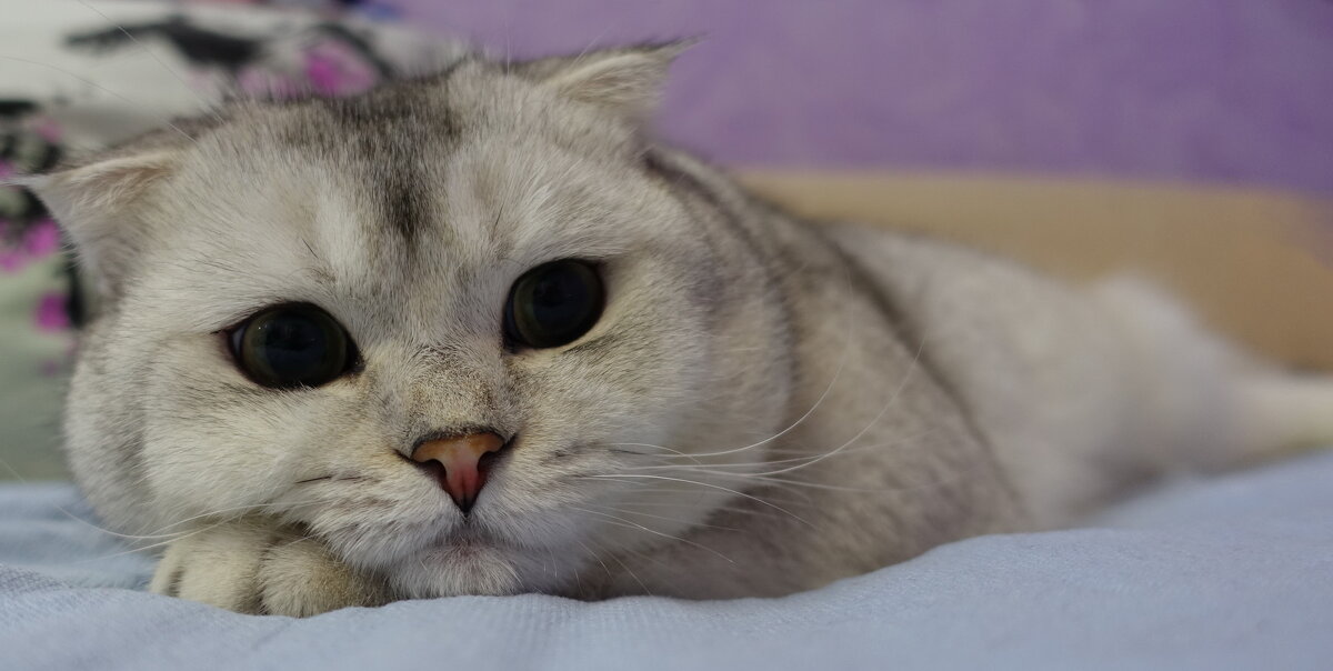 Размышления. - Марина Леонидовна