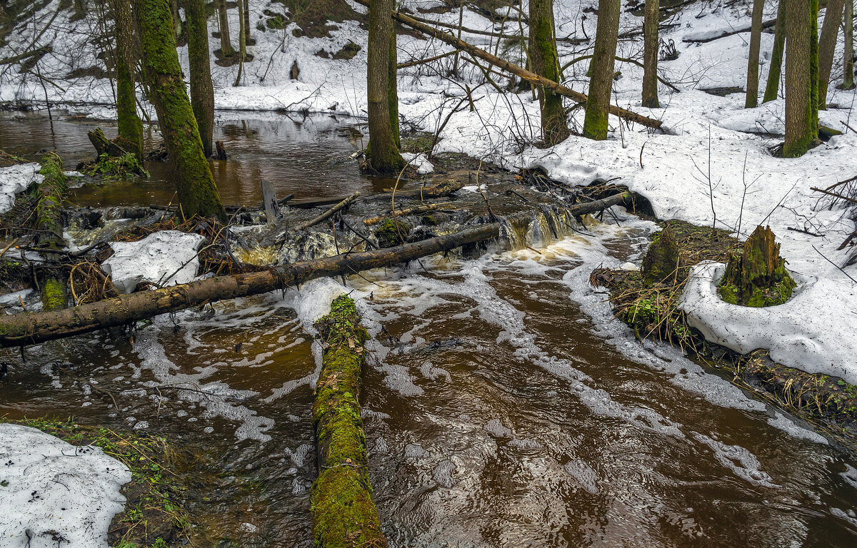 Ручей в апреле - Сергей Цветков