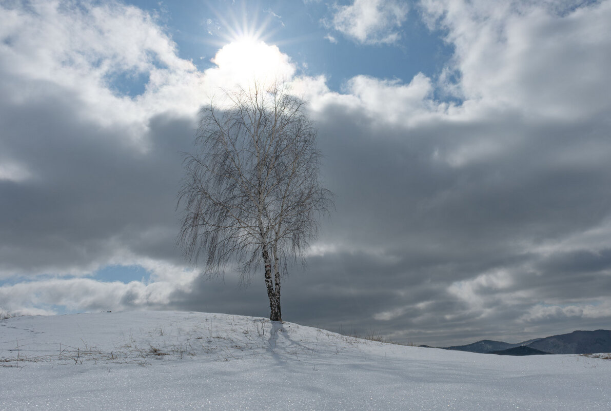 Апрель - Сергей Герасимов