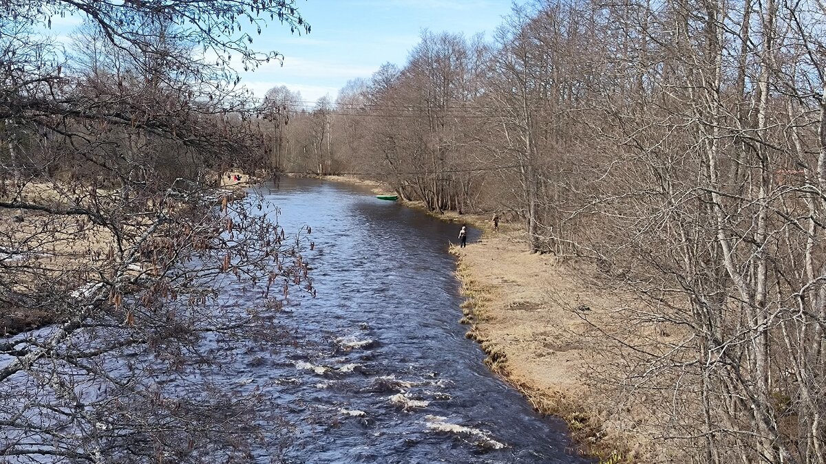 Река Гороховка. - Ольга Река Гороховка. - Ольга