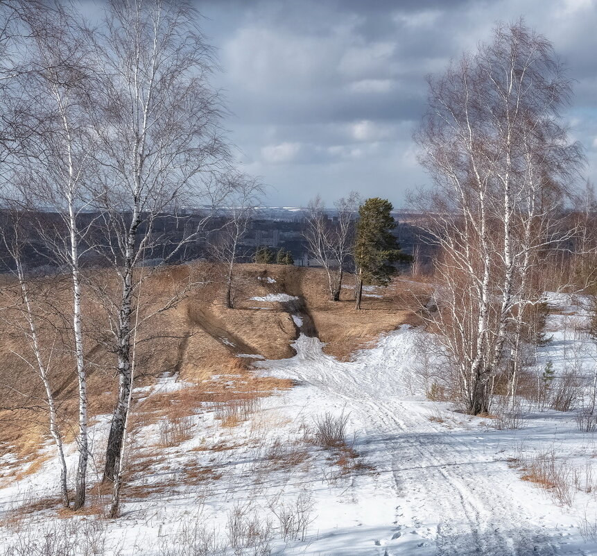 Весна Торгашинского хребта - Марина Фомина.