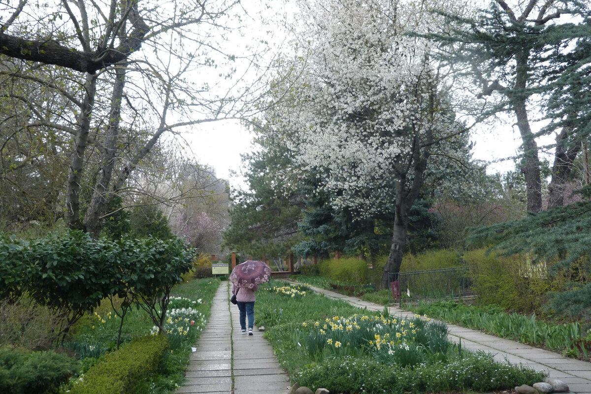 А  дождь  идёт - Валентин Семчишин