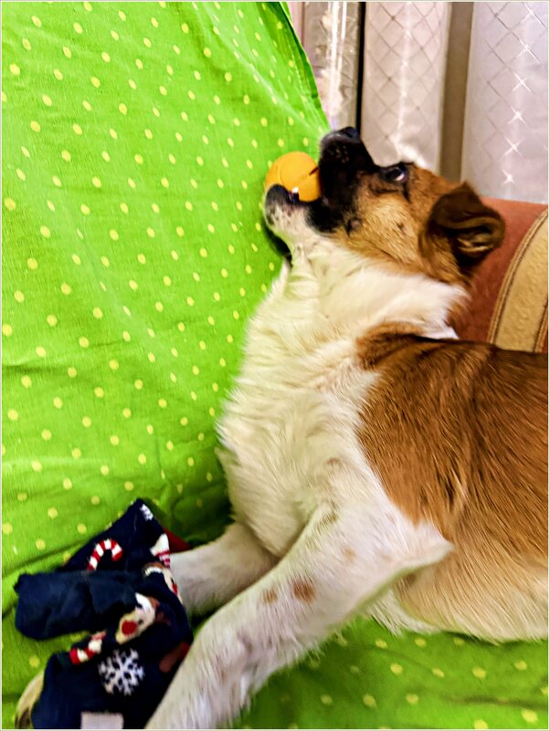 Яша с мячиком. - Валерия Комова Яша с мячиком. - Валерия Комова