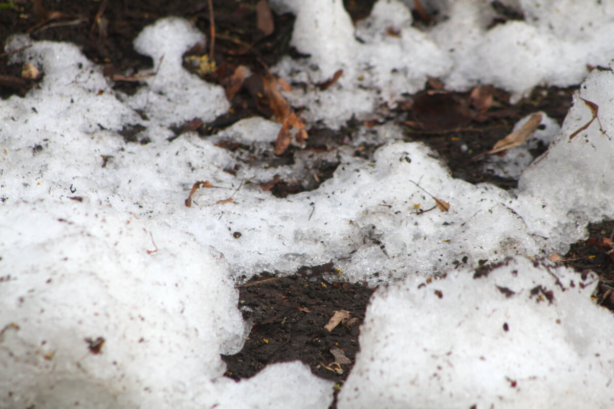 Серенада уходящего снега - олег свирский Серенада уходящего снега - олег свирский