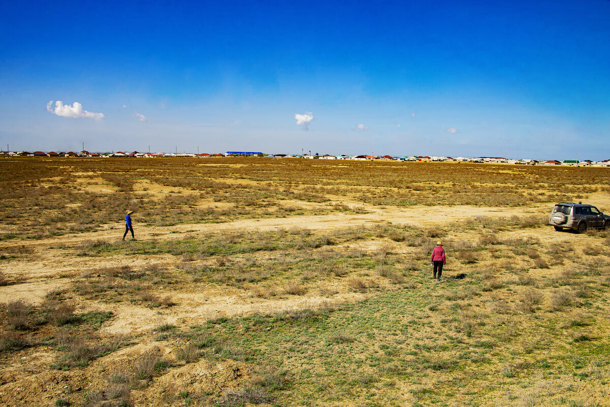 В степи - Анатолий Чикчирный