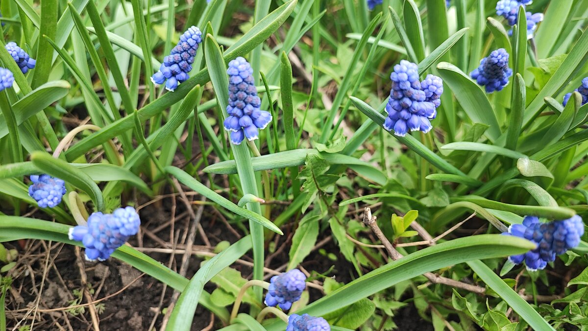 ,,, - Сергей Тимоновский