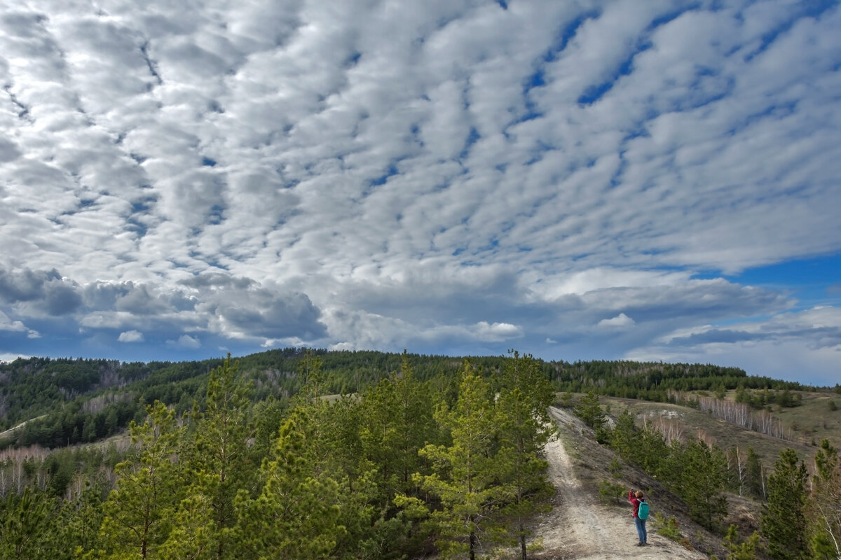 Под весенним небом - Наталья Димова