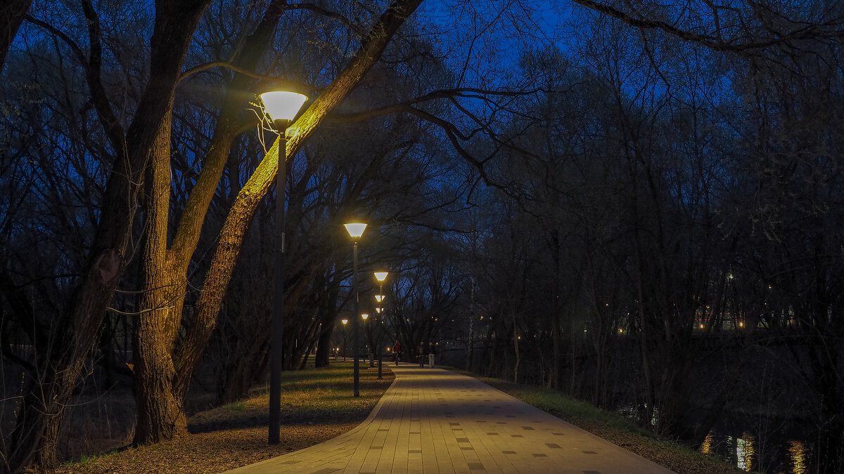 В Вечернем Парке - юрий поляков
