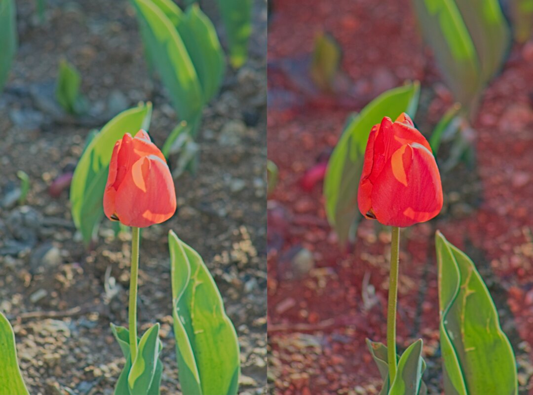 Тест гелевых накладок на вспышку - Giant Tao /