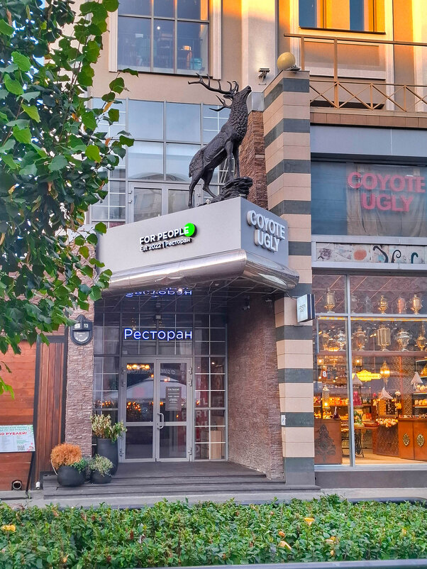 Прогулки по Казани - Irene Irene Прогулки по Казани - Irene Irene