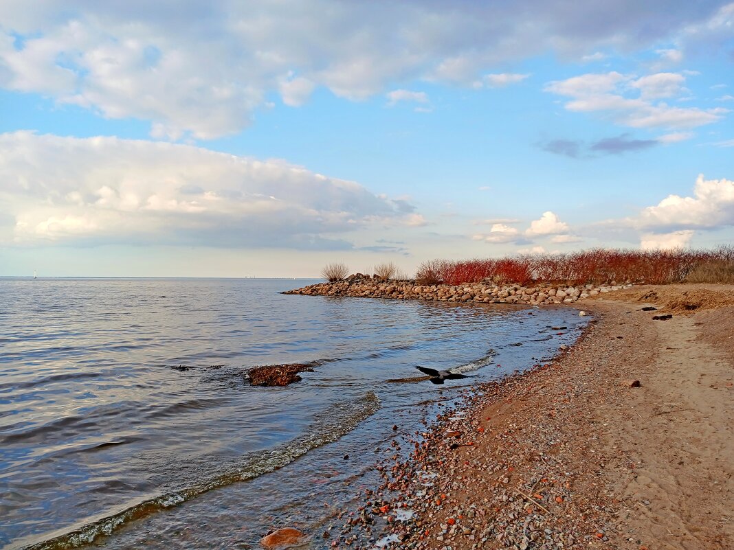 Залив полностью очистился ото льда! - Лия ☼ Залив полностью очистился ото льда! - Лия ☼