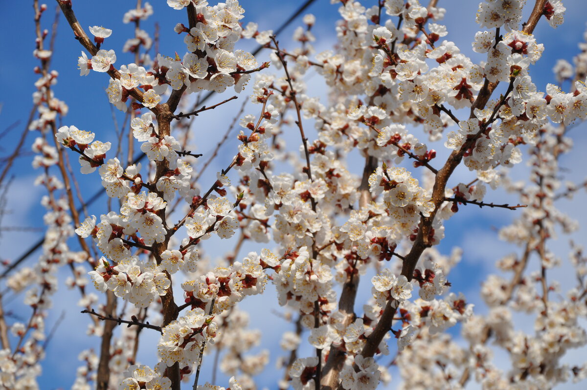 Год назад в это время в апреле - Татьяна Машошина
