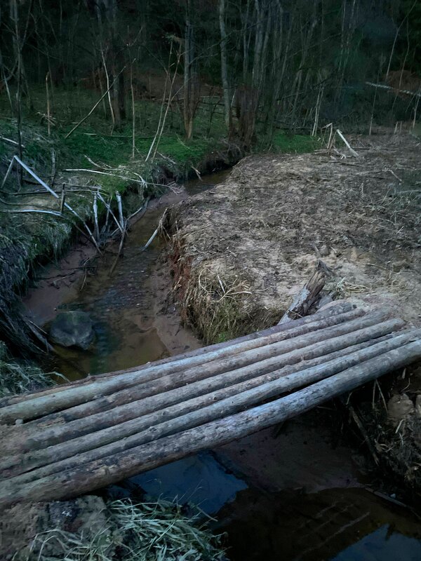 В лесу - Андрей Л. В.