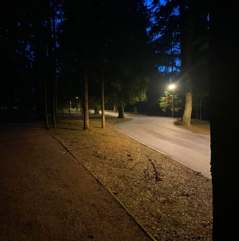 Вечер - Андрей Л. В.