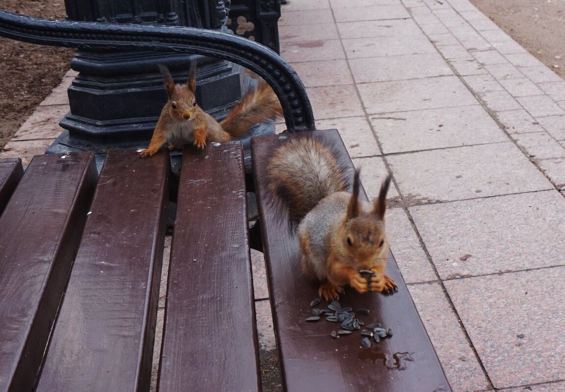 Всем надо)) - Nataly St. 