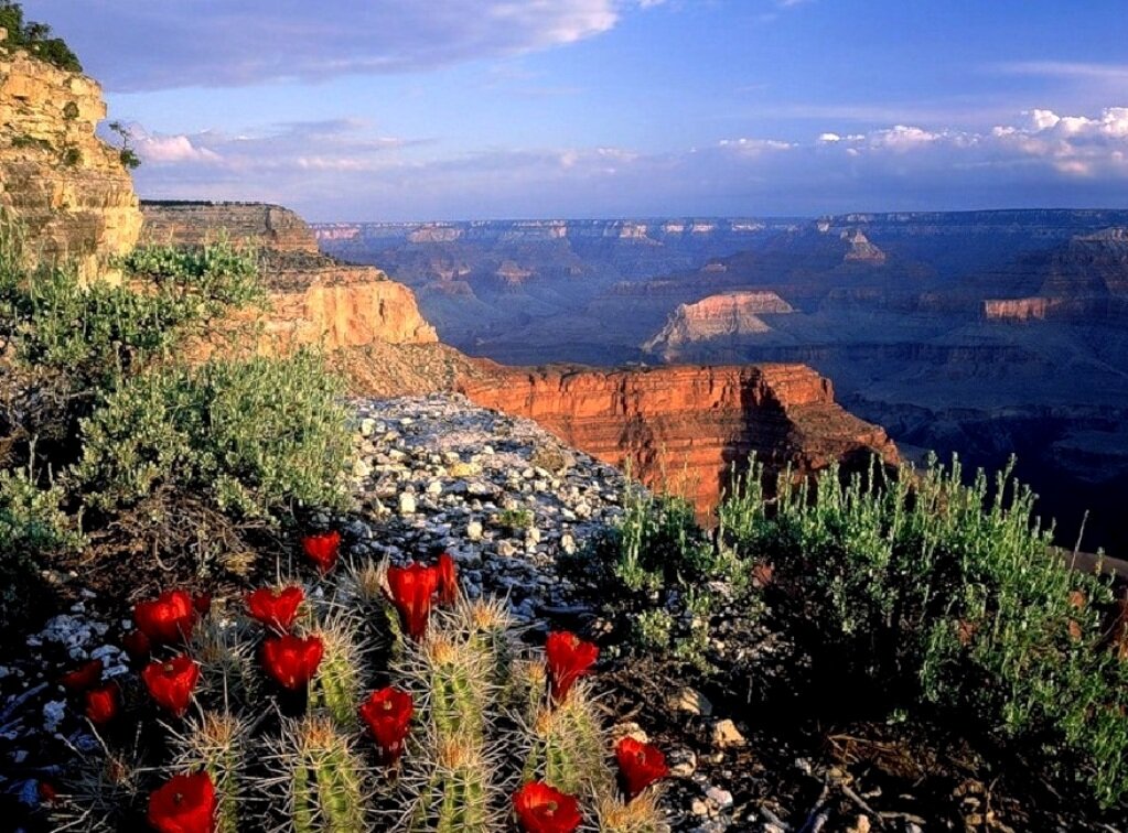 Весна - Таня Фиалка