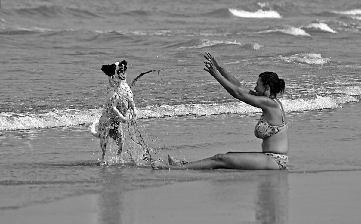 Алле-оп... - Valziwa 