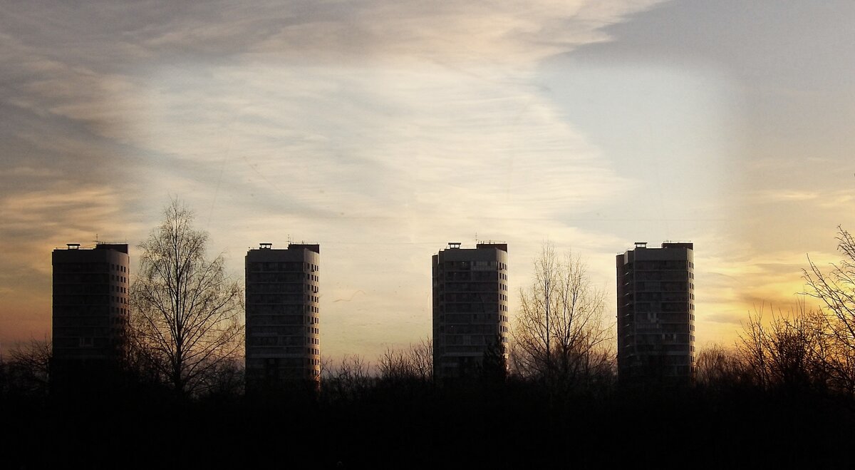 "Человейники" - Максим Орлов