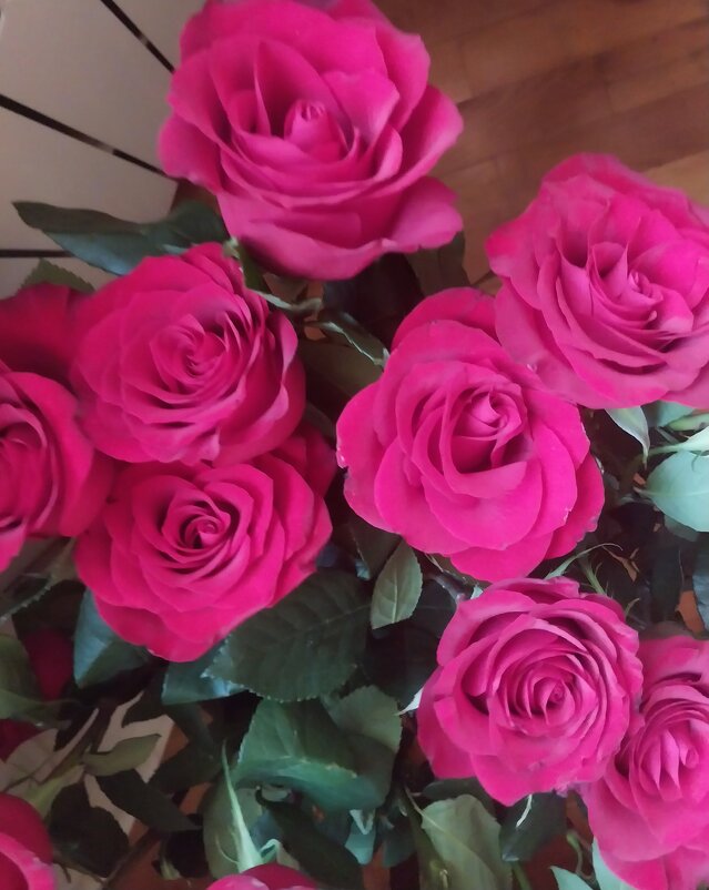 ....... - Murat Bukaev 