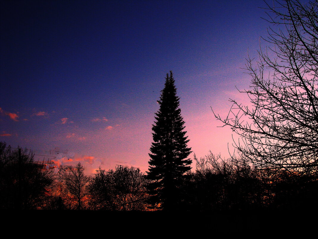 Апрельский вечер - Людмила Смородинская