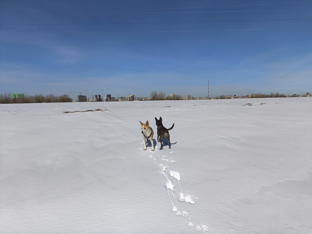 Туда-сюда - Anna Ivanova Туда-сюда - Anna Ivanova