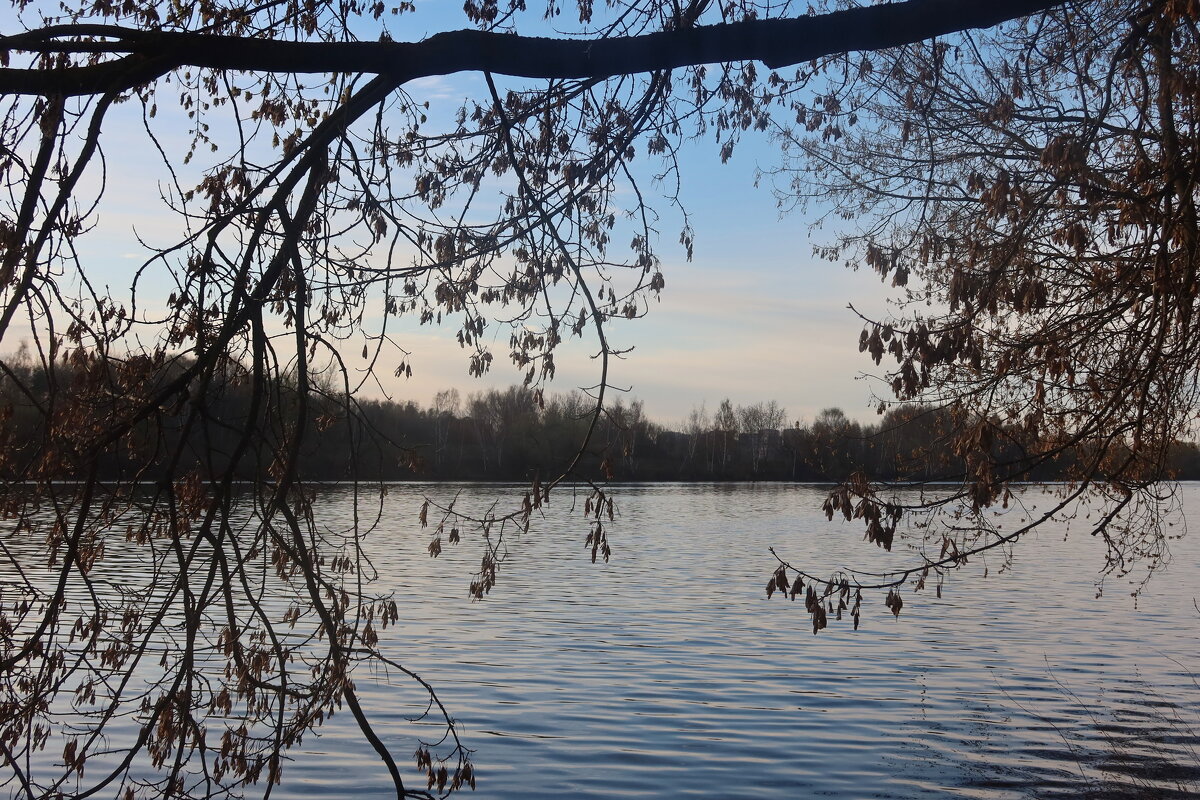 Река - Дмитрий И_