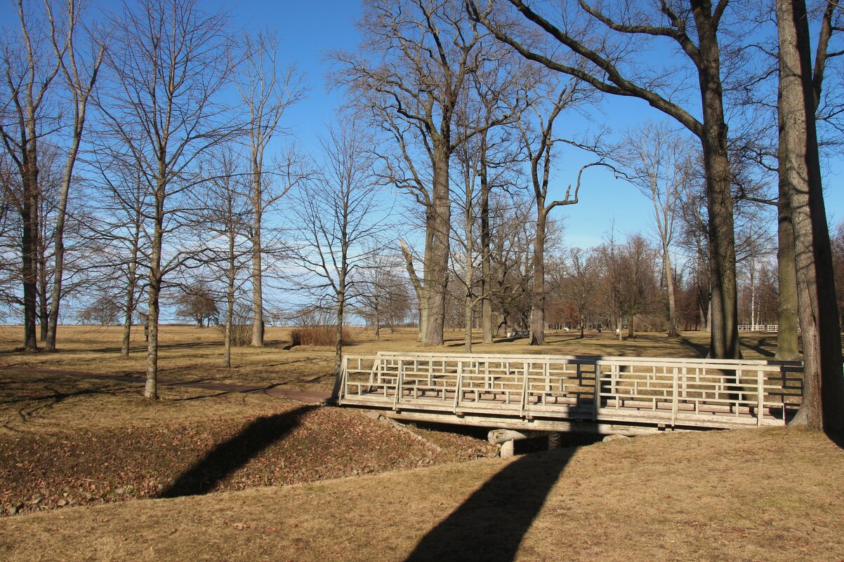 Парк Александрия - Наталья Герасимова