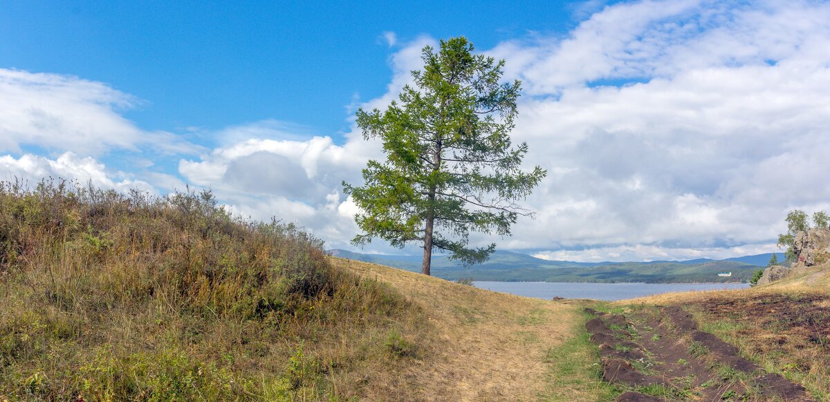 На берегу озера Тургояк (панорама). - Алексей Трухин