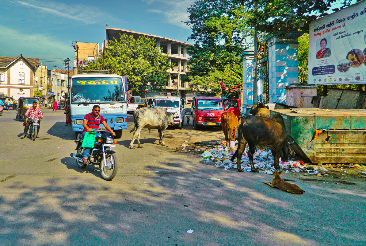 Стрит-фото - Андрей K. Стрит-фото - Андрей K.
