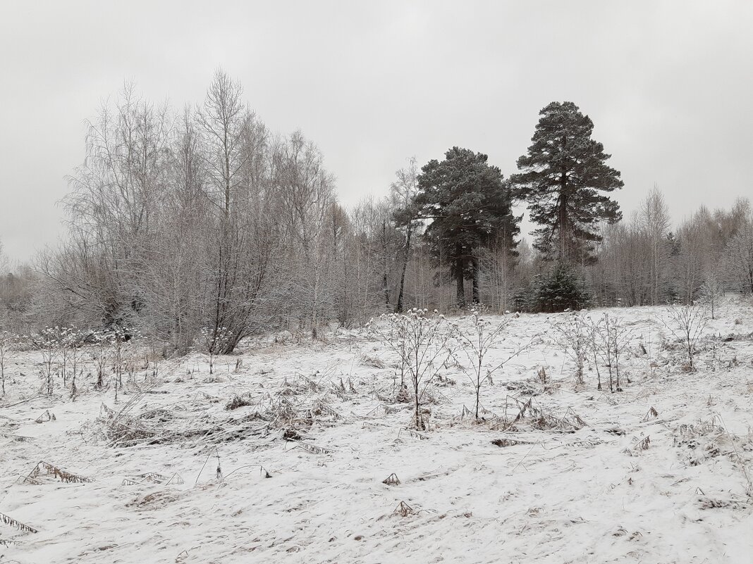 И снова выпал снег... - Галина Минчук