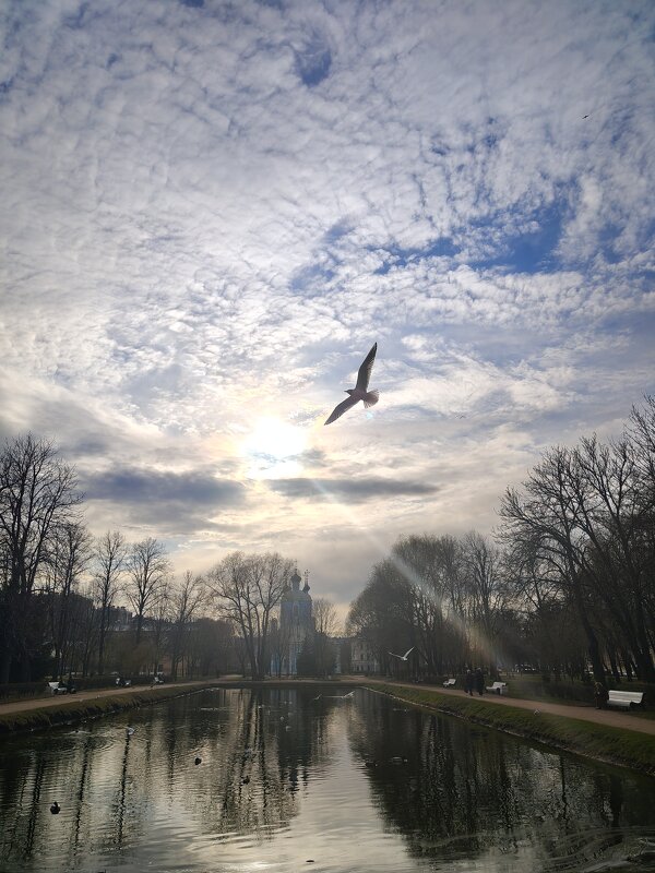 Момент - Андрей 