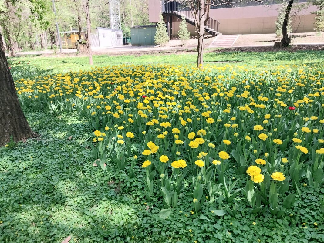 АЛМАТЫ. - Murat Bukaev 