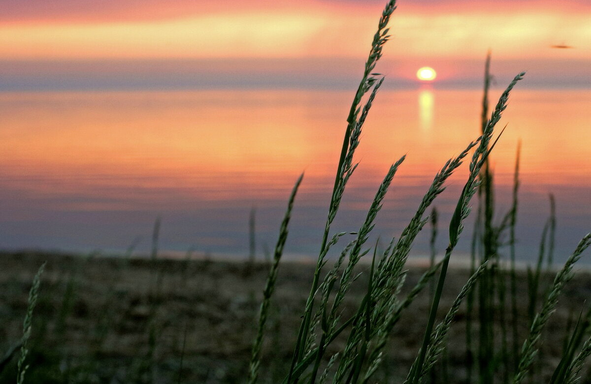 Летний вечер - В.И 
