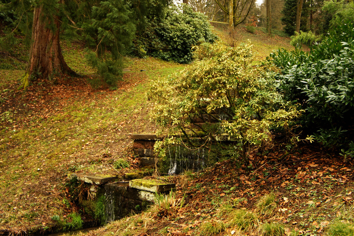 В Баден-Бадене - Сергей Порфирьев