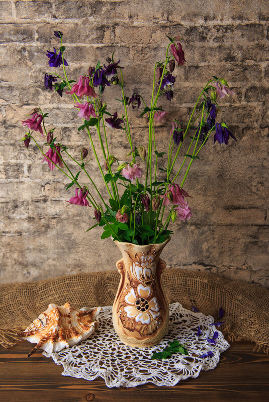 Водосбор - Владимир Гришин