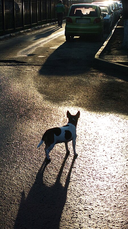 И куда же ты? - Николай Семёнов