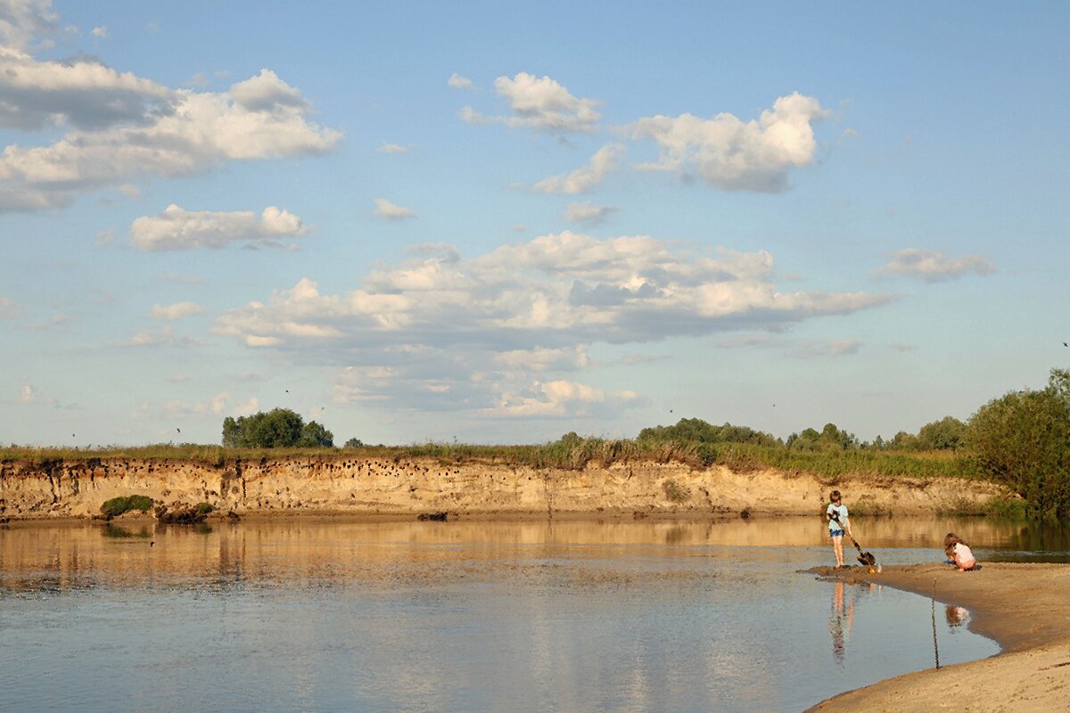 На берегу р.Ипуть - Сергей Рожков
