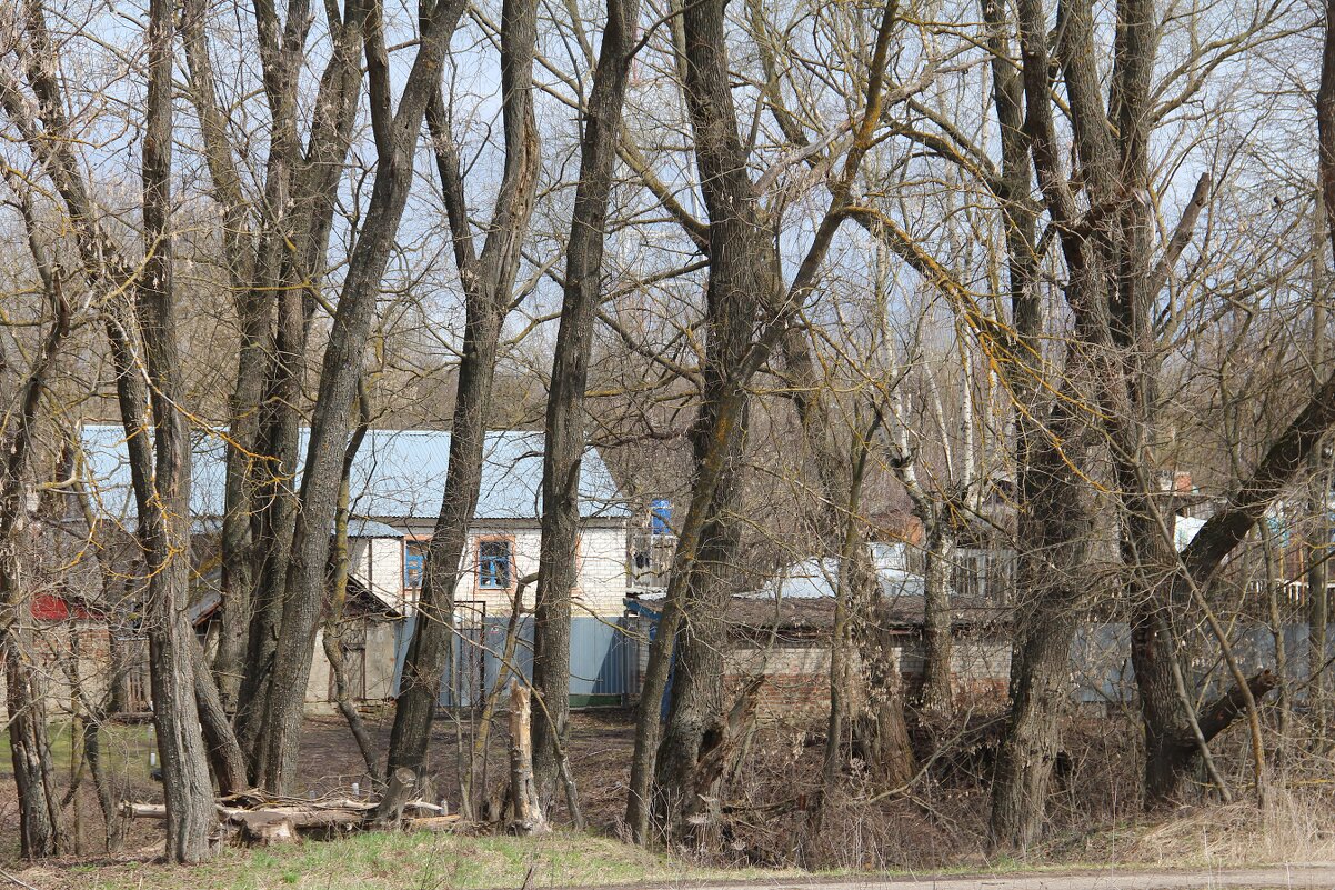 Провинциальные зарисовки - Елена Минина