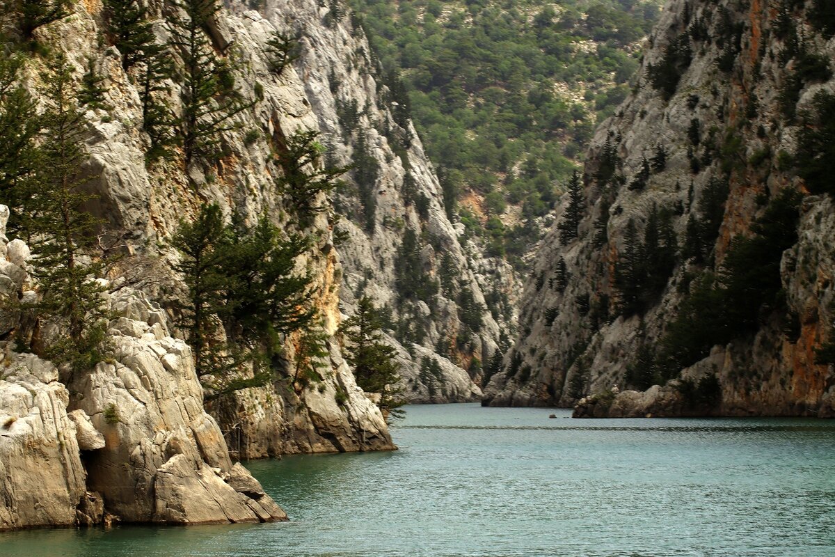 Зелёный каньон - Юрий. Шмаков