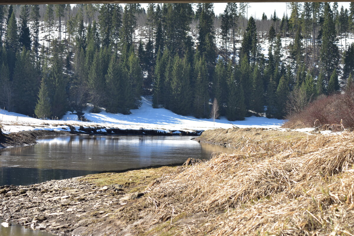 р.Добрянка. - petyxov петухов