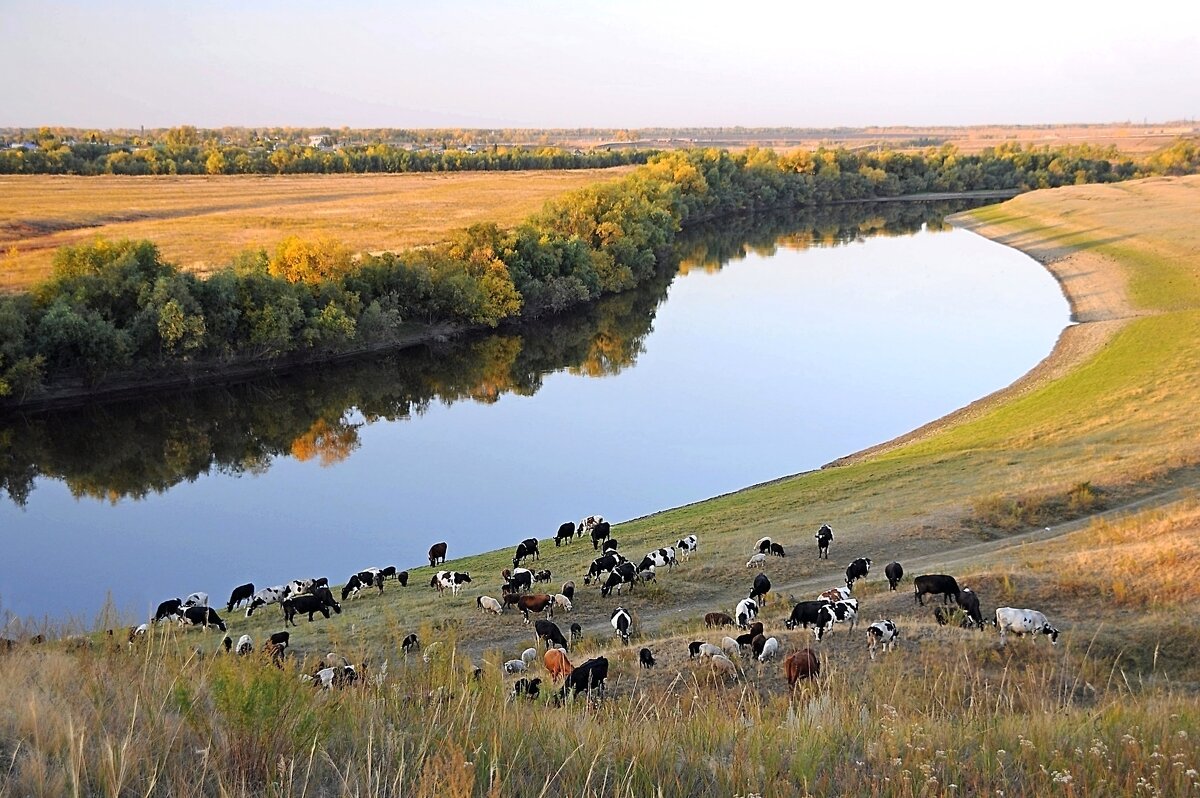 Река Омь - Владимир Зыбин Река Омь - Владимир Зыбин