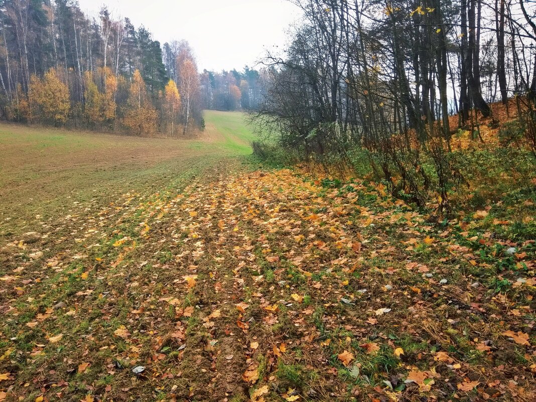 Осенний день. - delete (id213252) 