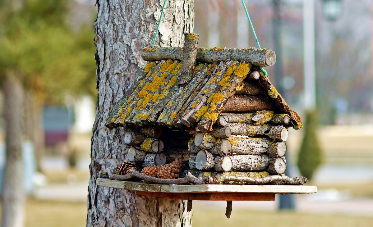 Кормушка - Олег 