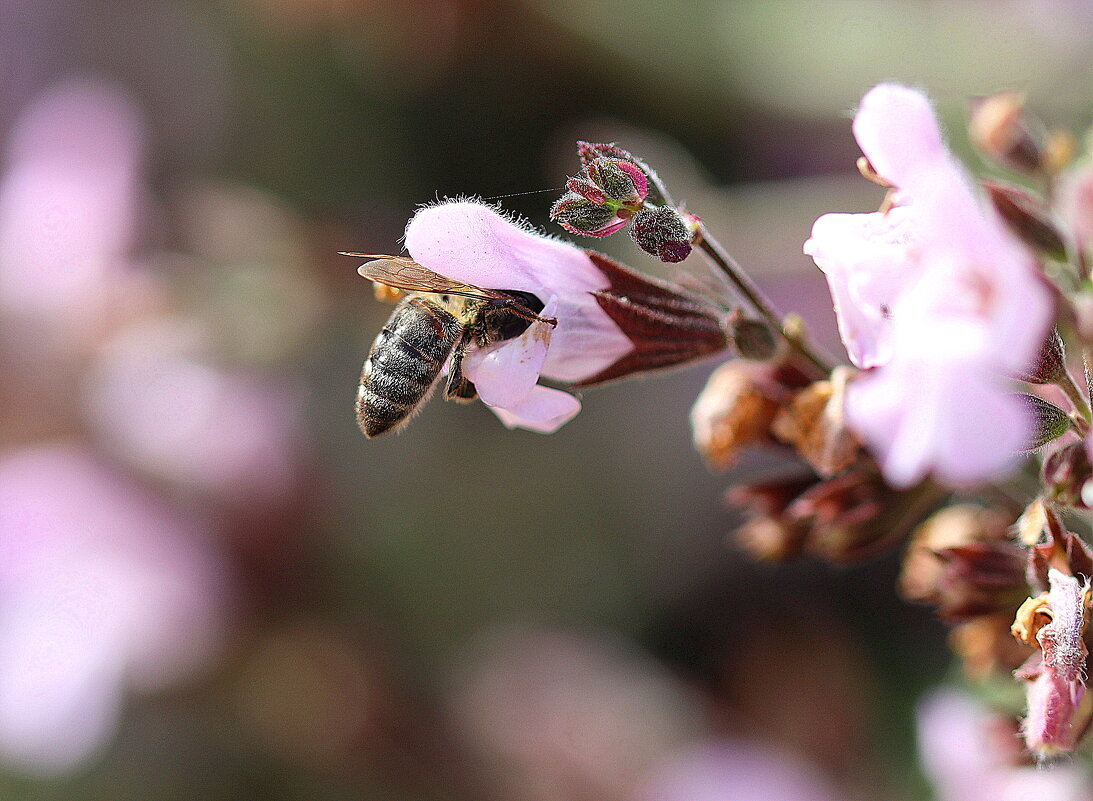 Нырнула. - Оля Богданович