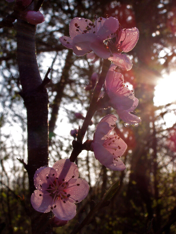 с добрым утром ! - Всеволод 