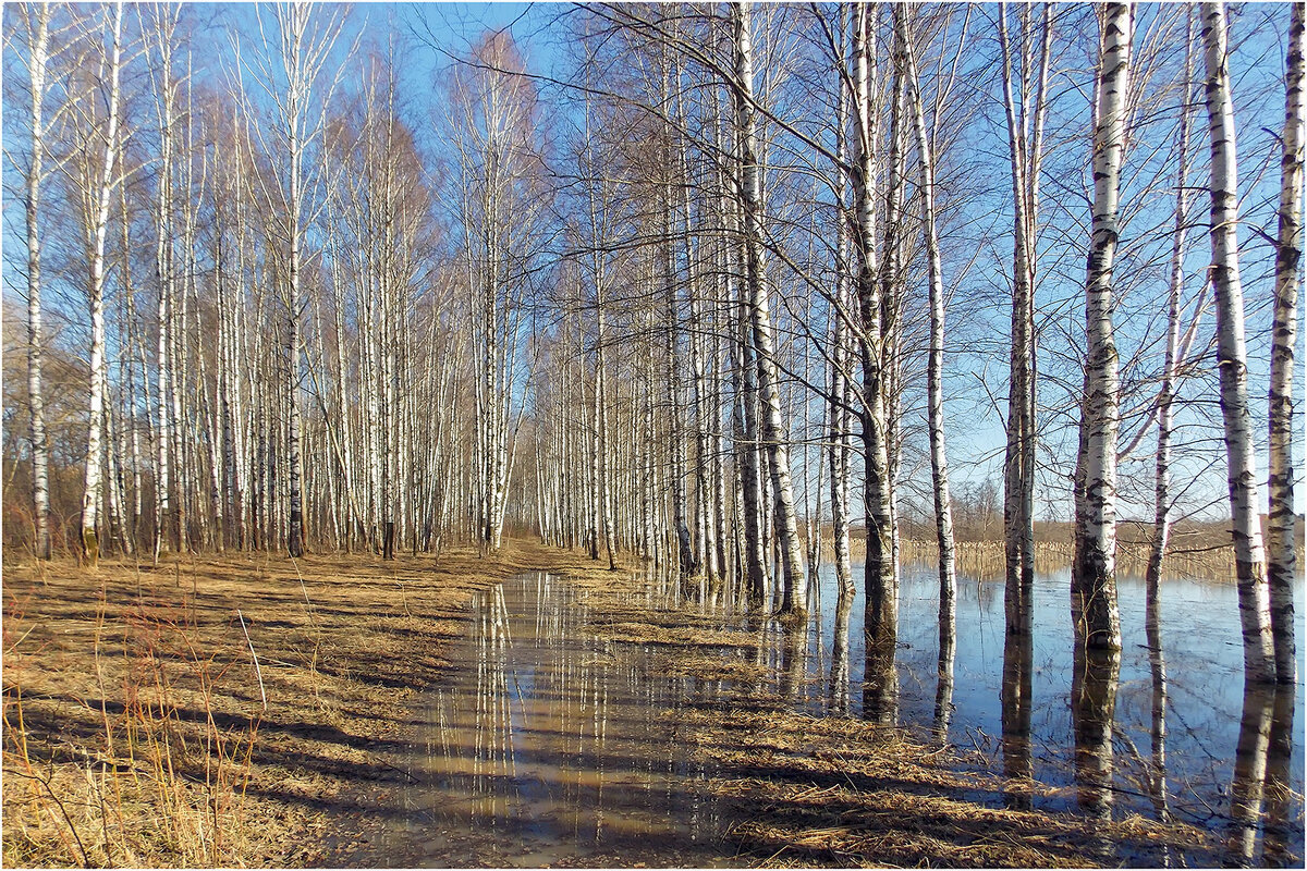 Апрель - Валентин Котляров